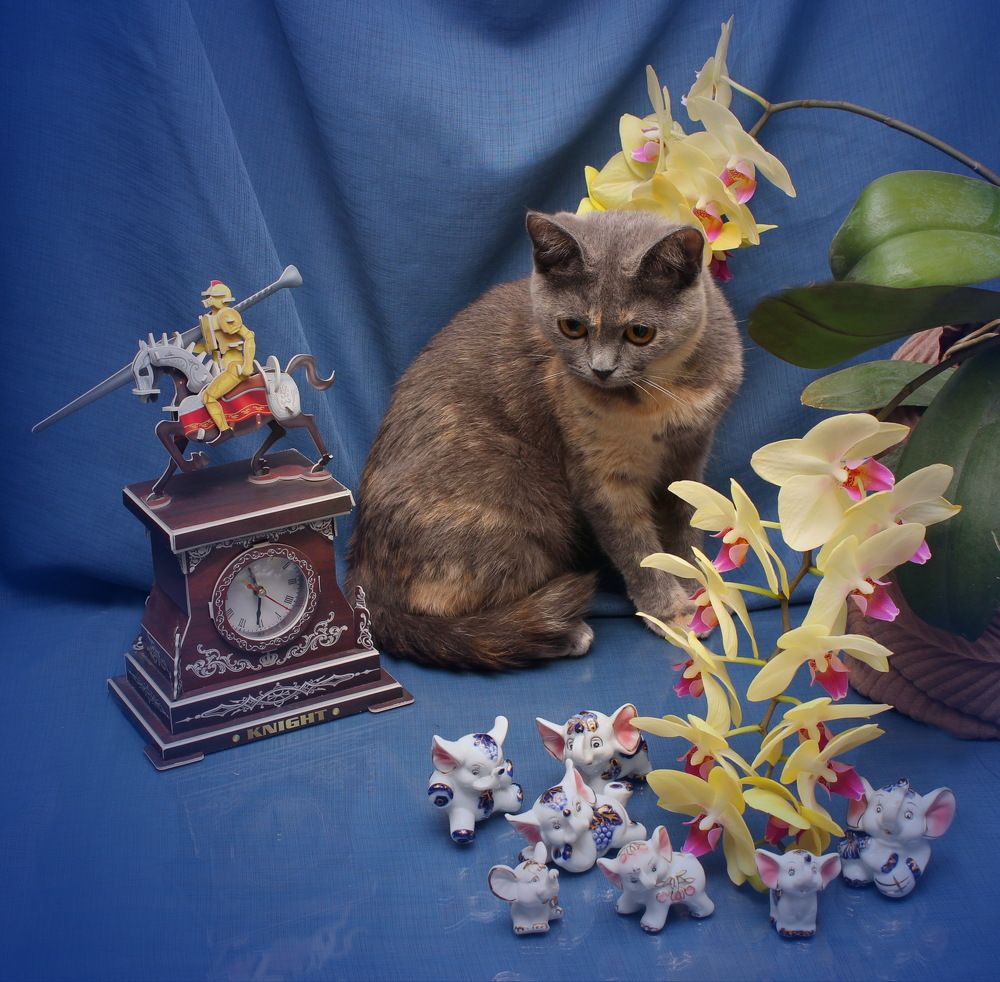 Photograph by Наталья Стальмакова