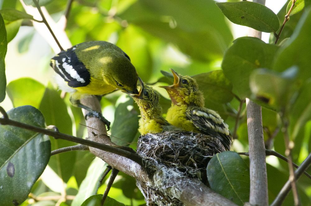 Photograph by Tanjung Syahrian
