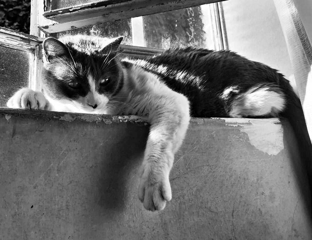 Photograph by Yana Borgia