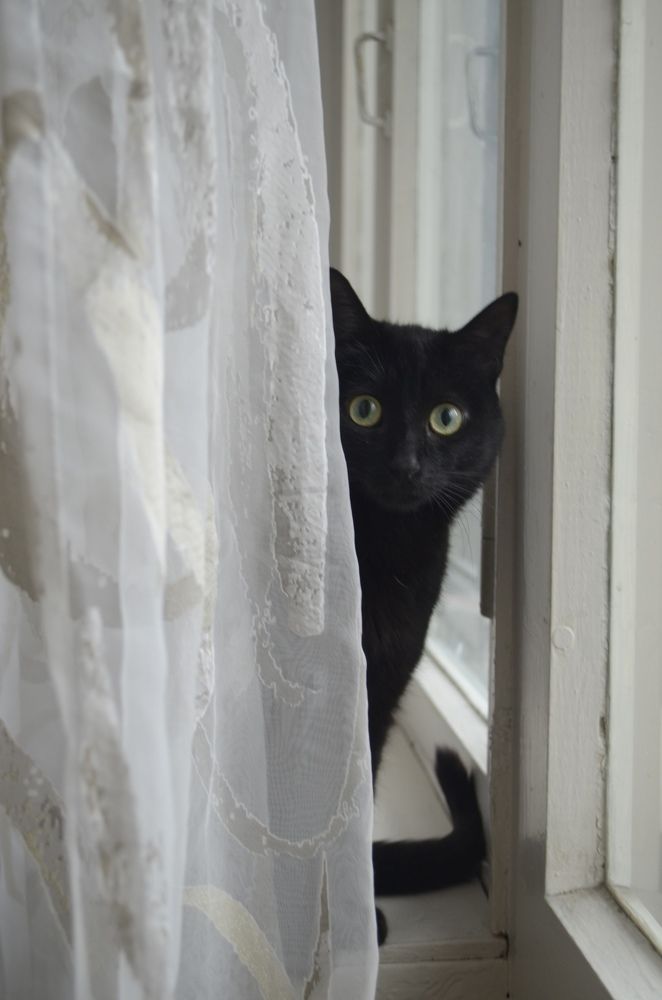 Photograph by Полианна Напара