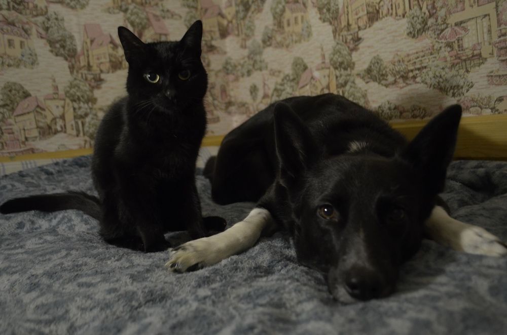 Photograph by Полианна Напара