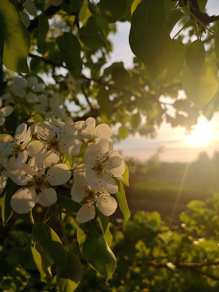Photograph by Екатерина Борисовна Кузьмина