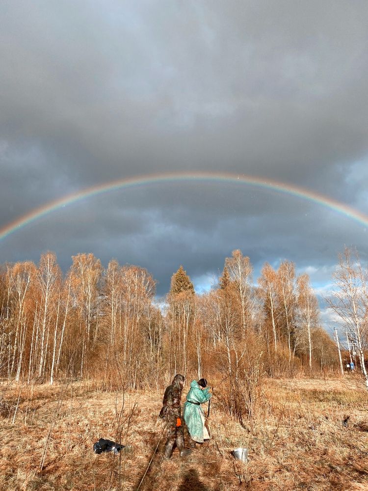 Фотография автора Elena Istomina