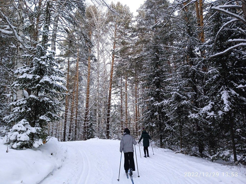 Photograph by Сергей Веселов