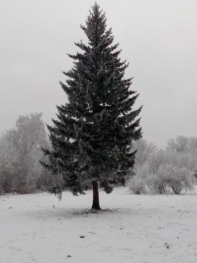 Photograph by Галина Мурашкина