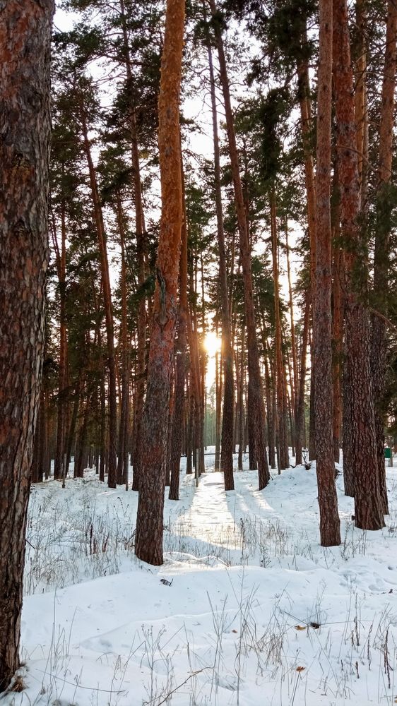 Photograph by Алëна Проскурякова