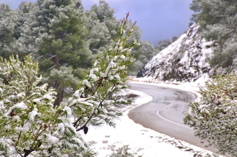 Photograph by Idir Bouaicha