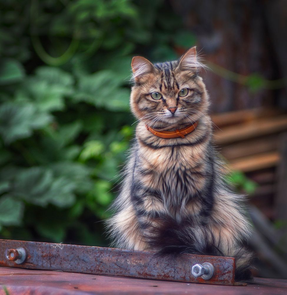 Photograph by Ольга Белова