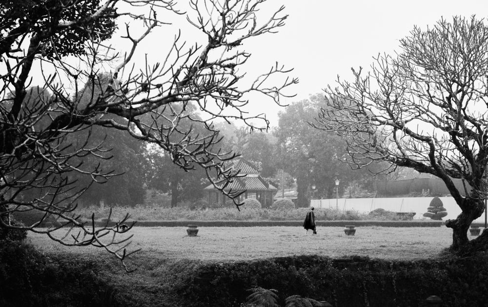 Photograph by Hieu Phan