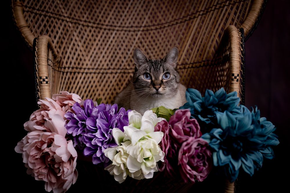 Фотография автора Angela Miller