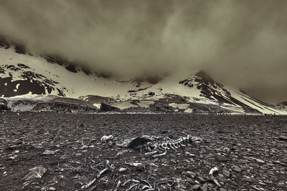 Photograph by gagarin andrey