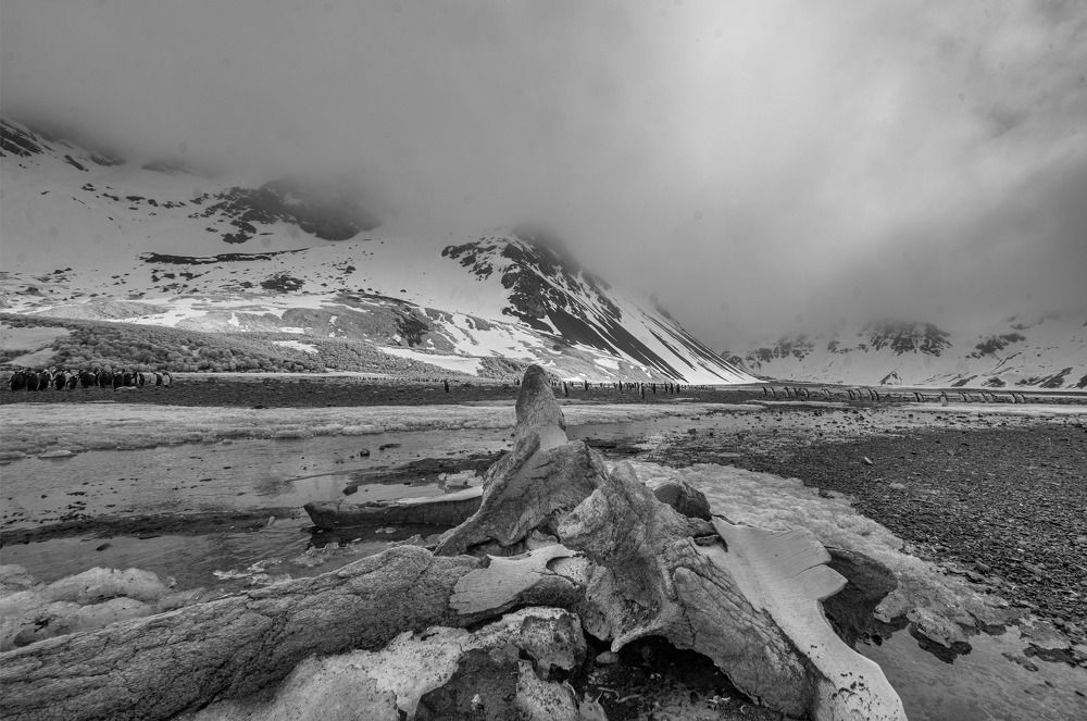 Фотография автора andrey gagarin