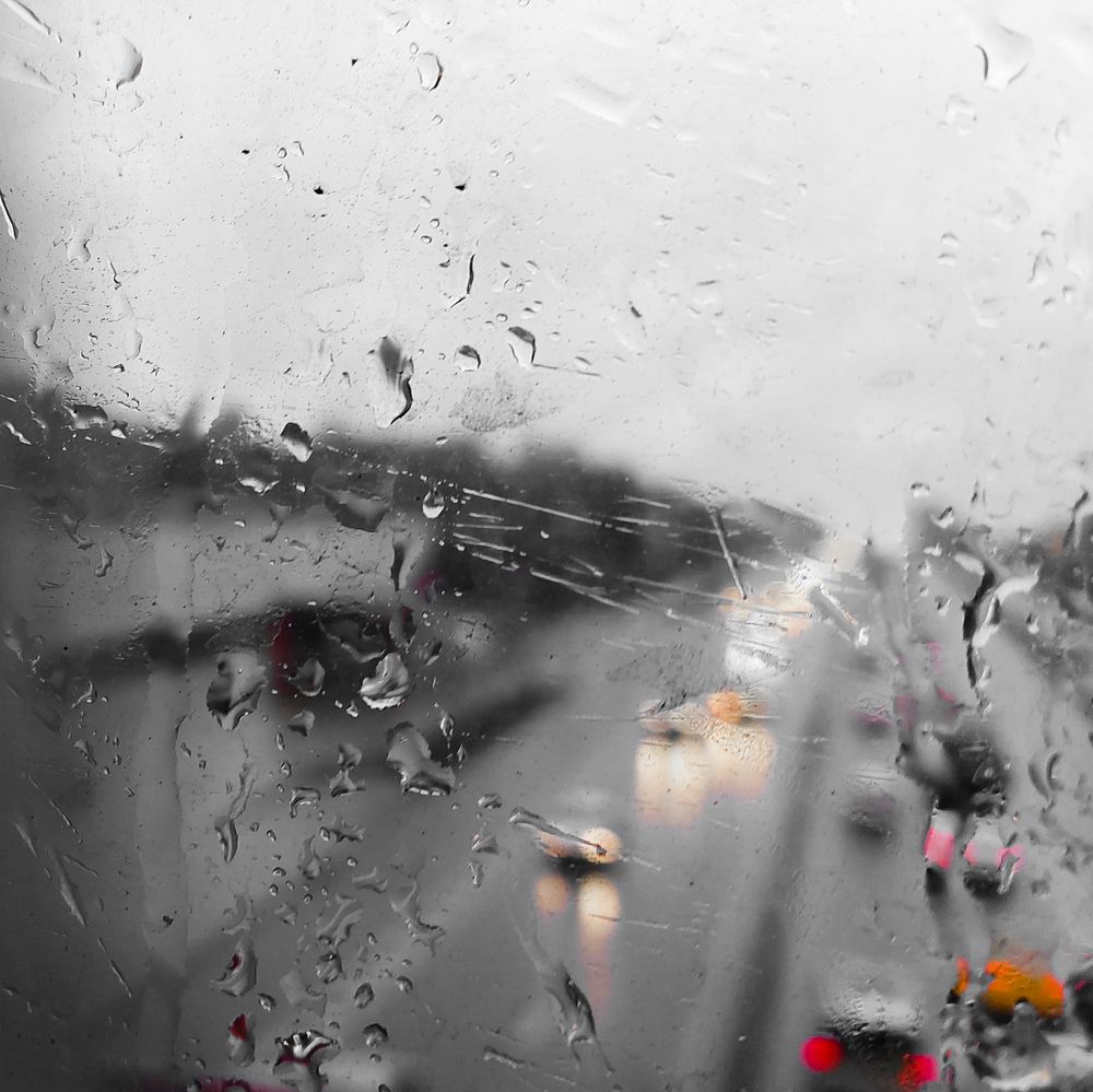 Photograph by P&G 77