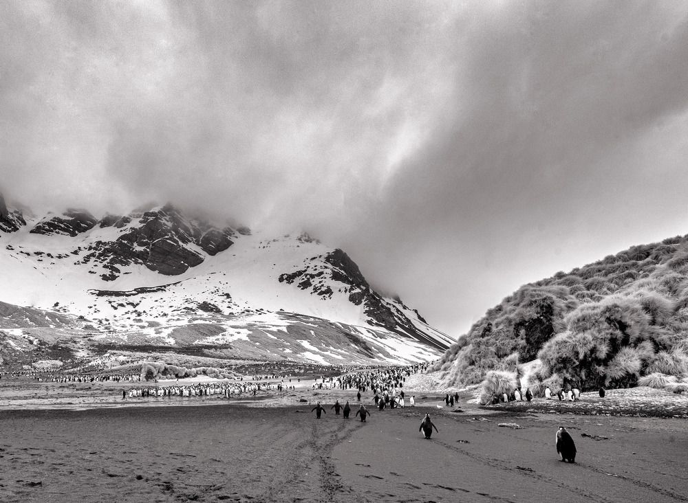 Фотография автора andrey gagarin