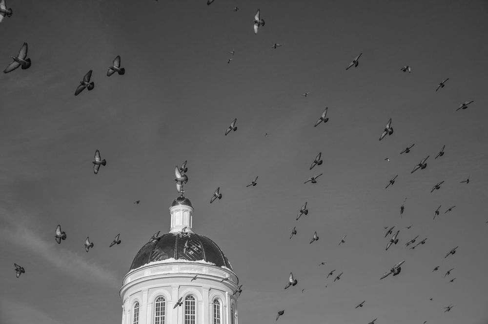 Photograph by Константин