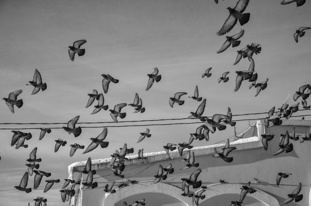 Photograph by Константин