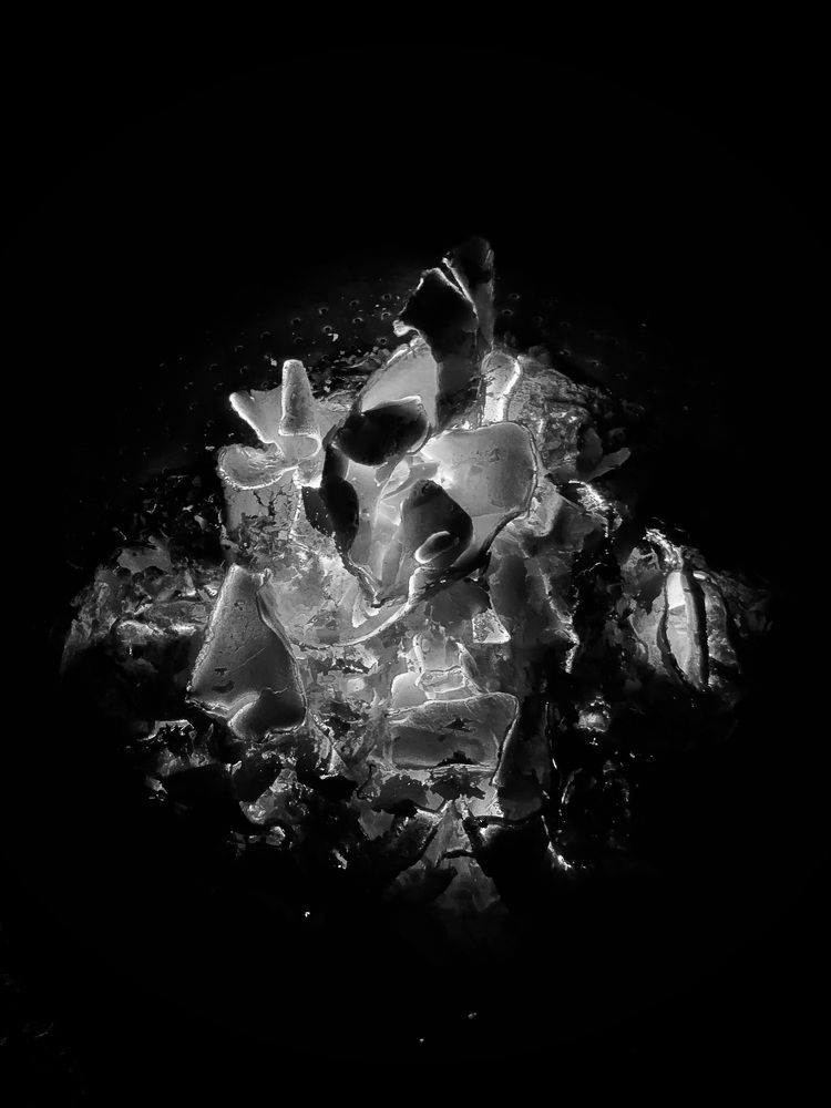 Photograph by Vikas Gangpari