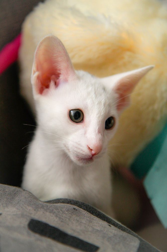 Photograph by Татьяна Мелехина