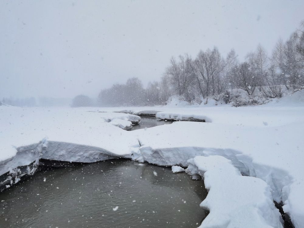 Photograph by Константин Пешков