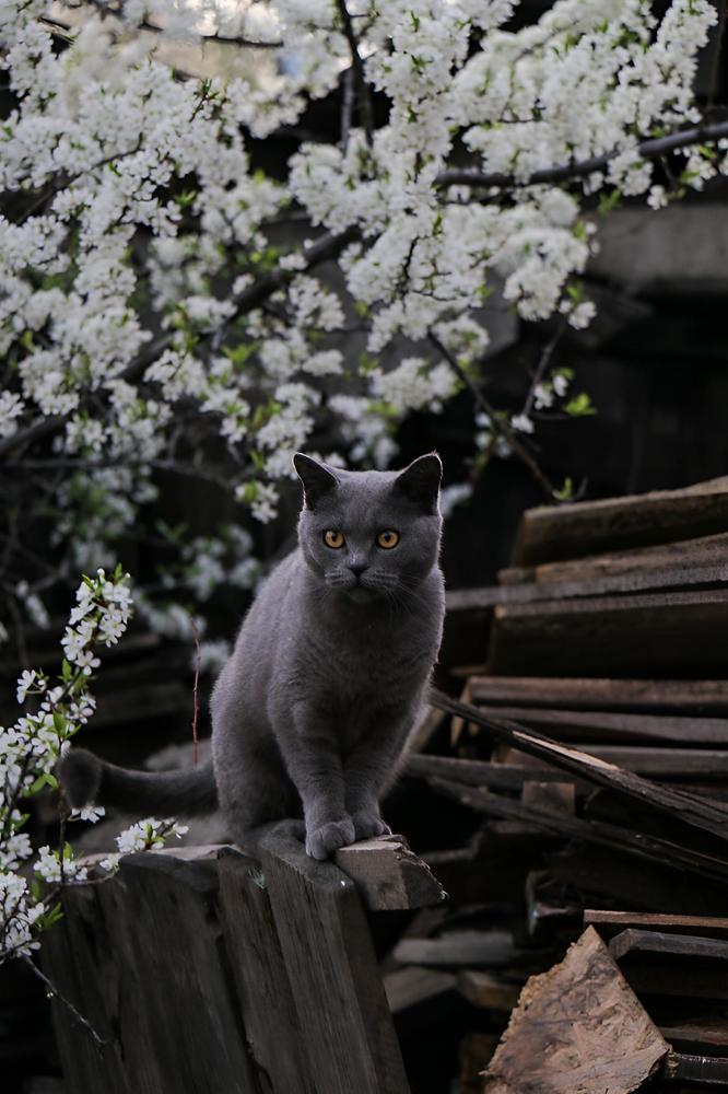 Photograph by Мария Корнилова