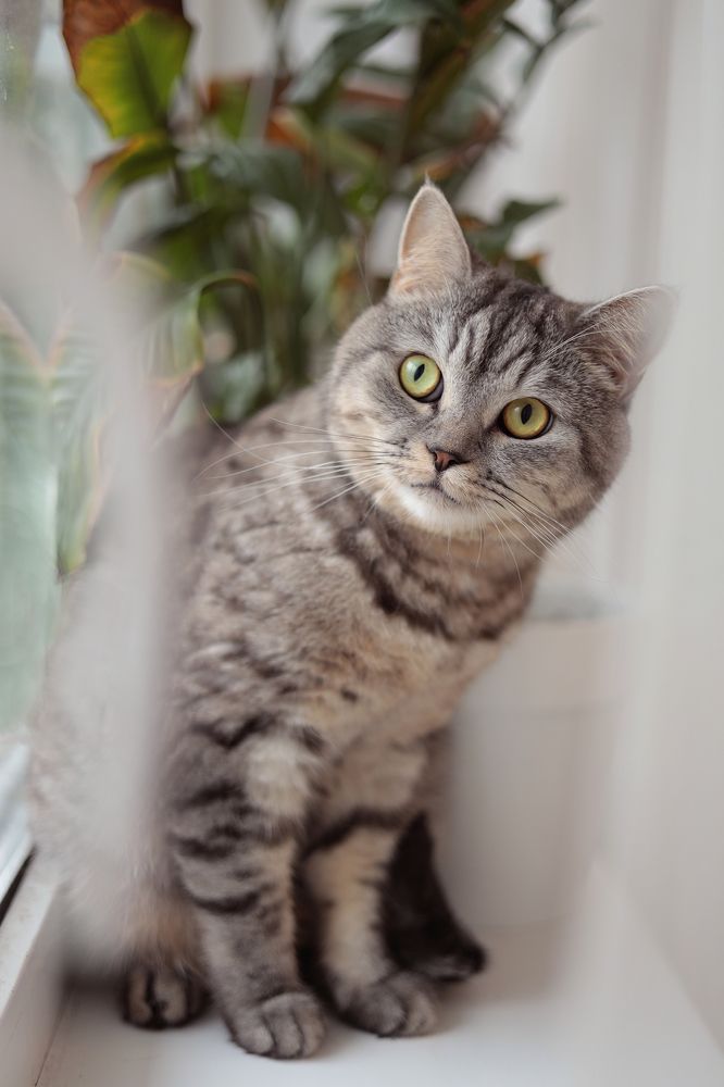 Photograph by Марина Шакирова