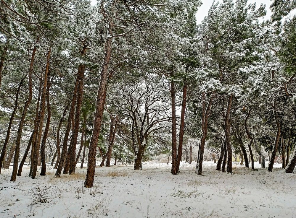 Photograph by Олег Башкуров