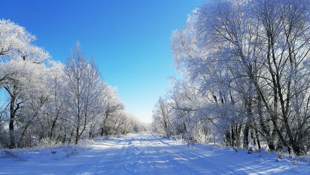 Photograph by Ирина Алпацкая