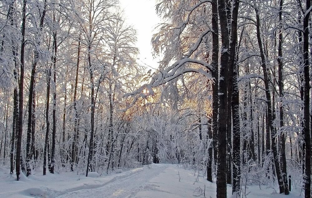 Photograph by Лидия Ушакова