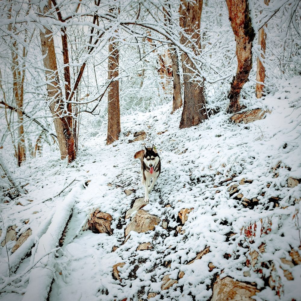 Photograph by Николай Ковальчук