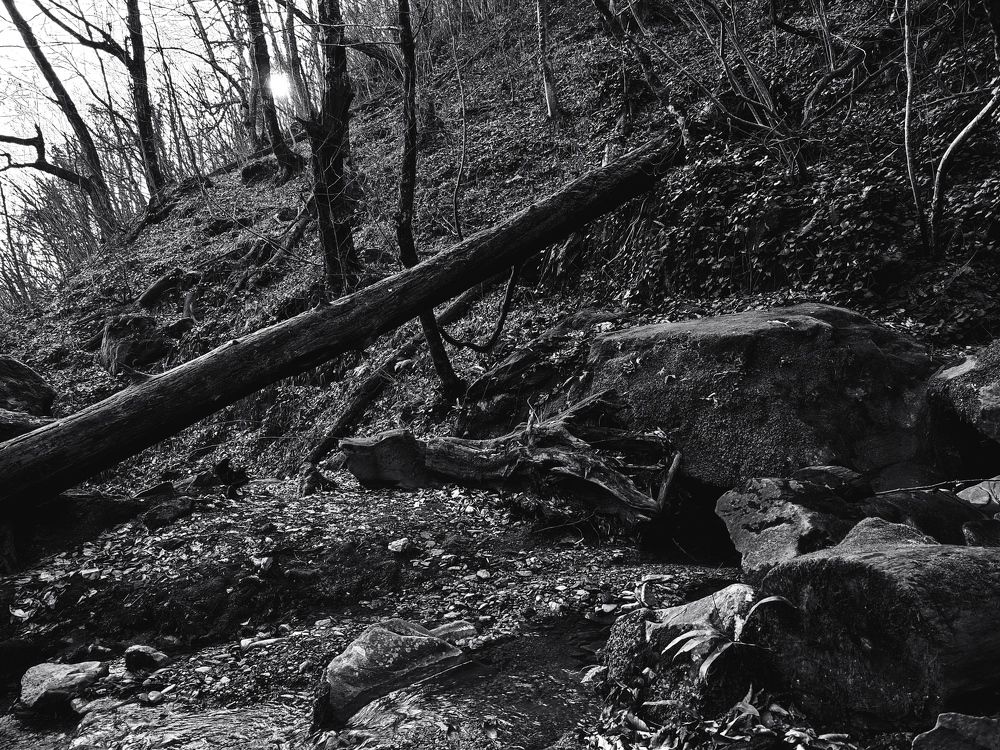 Photograph by Николай Ковальчук