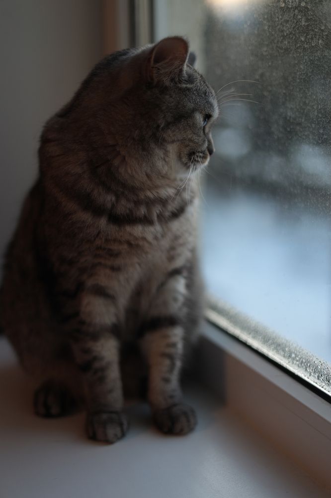 Photograph by Марина Шакирова