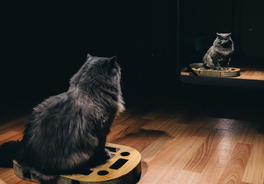 Photograph by Роман Павлов