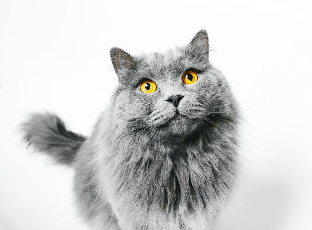 Photograph by Роман Павлов