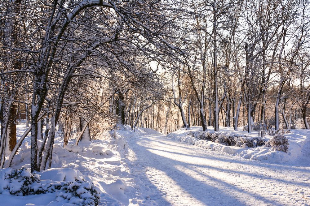 Фотография автора Юлия Кузнецова