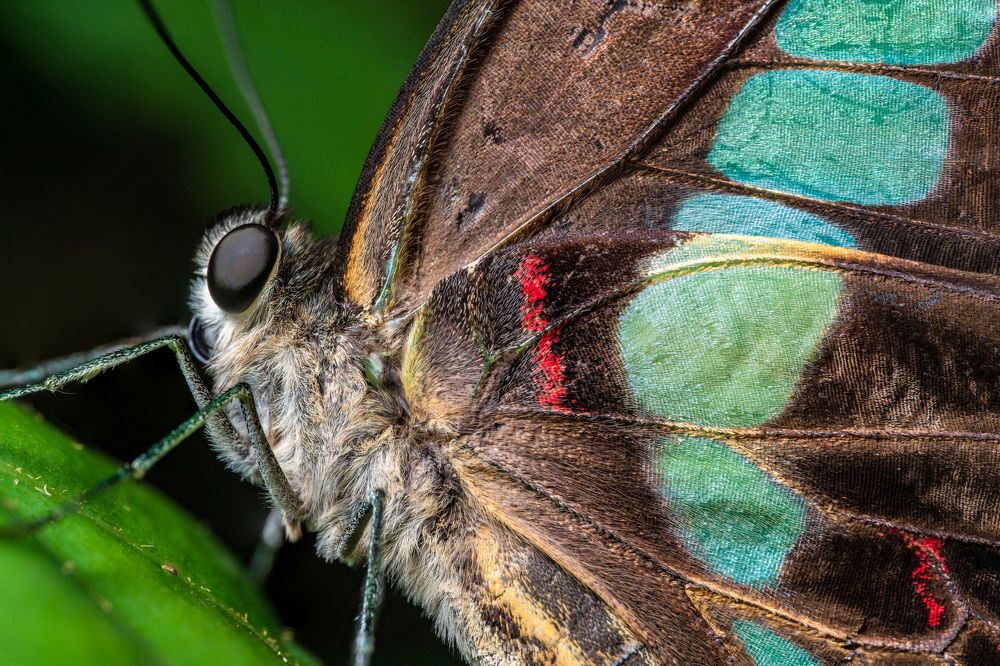 Photograph by Jimmy Chan