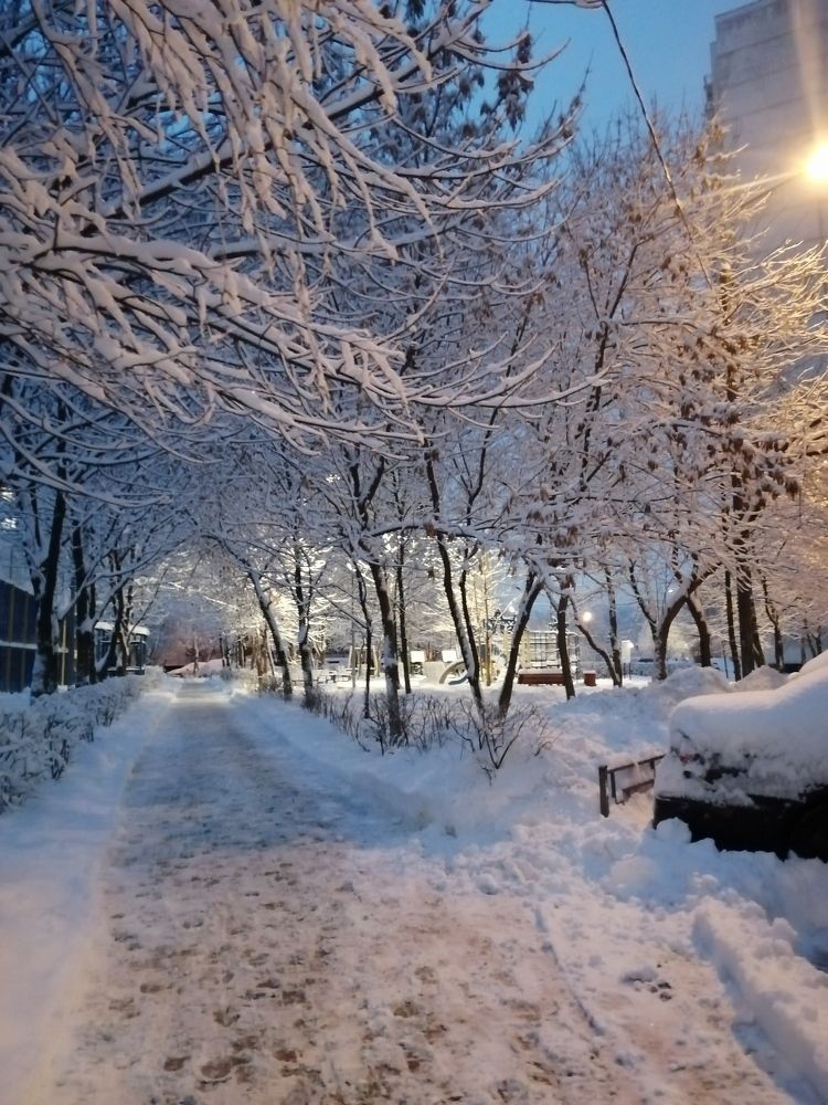 Photograph by DARIA DEMINA