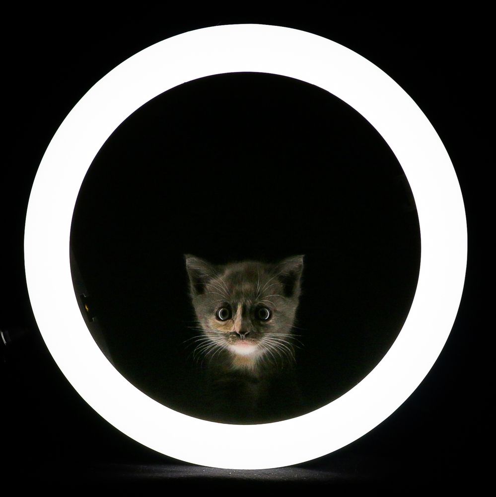 Photograph by Мария Корнилова