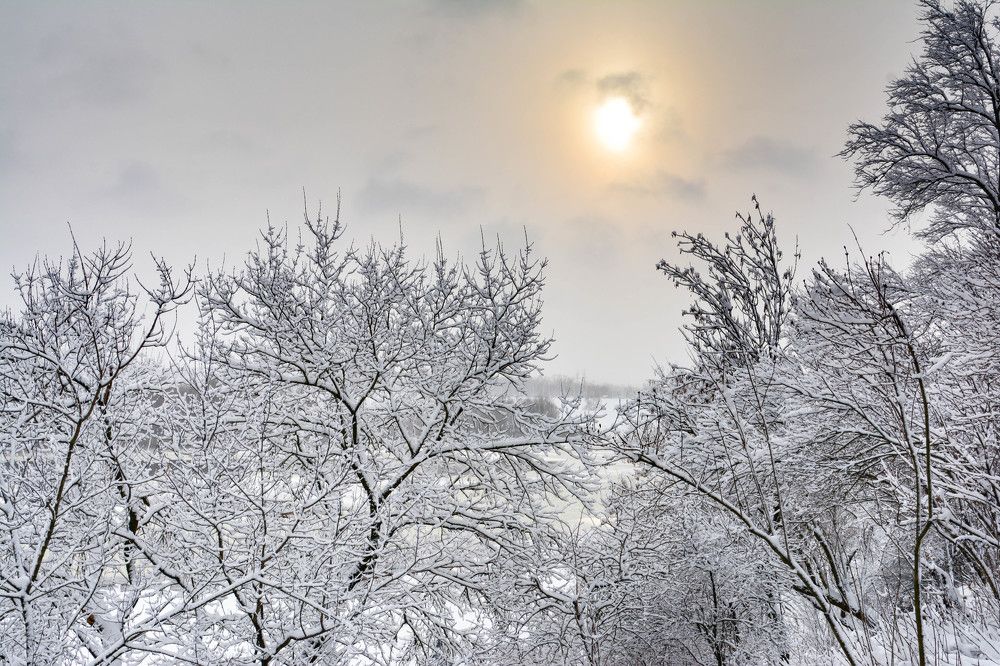 Фотография автора Юлия Кузнецова