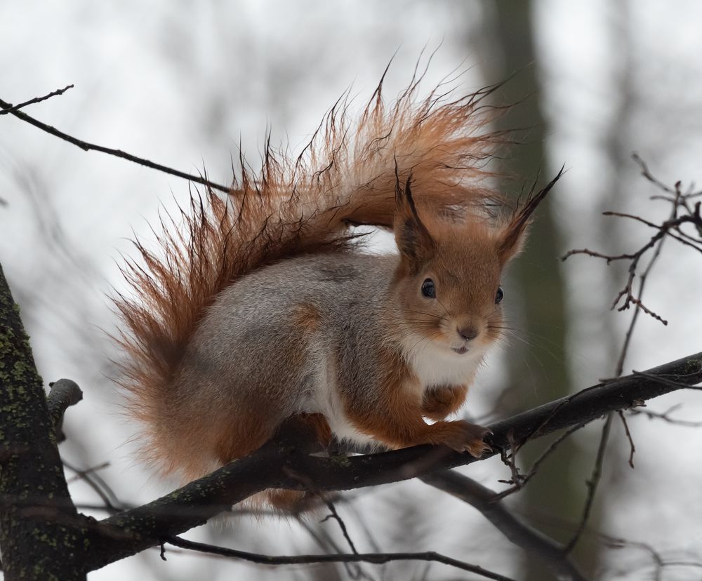 Photograph by Сергей Мальцев