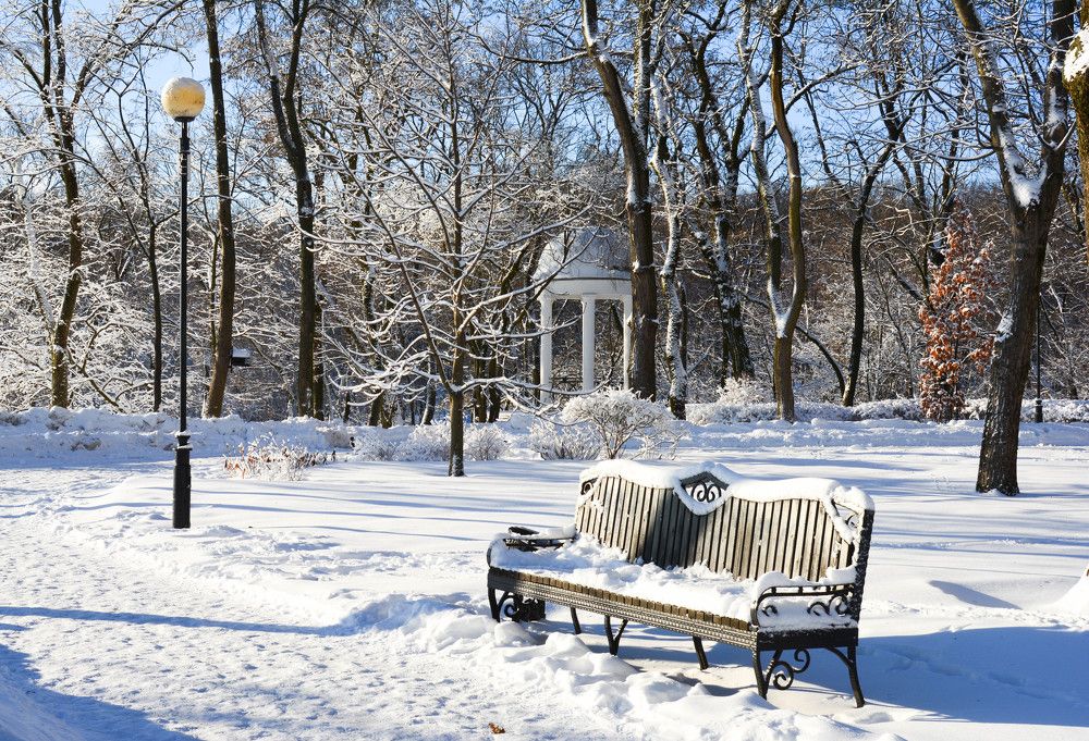 Фотография автора Юлия Кузнецова