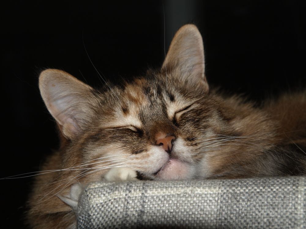 Photograph by Сергей Рябов