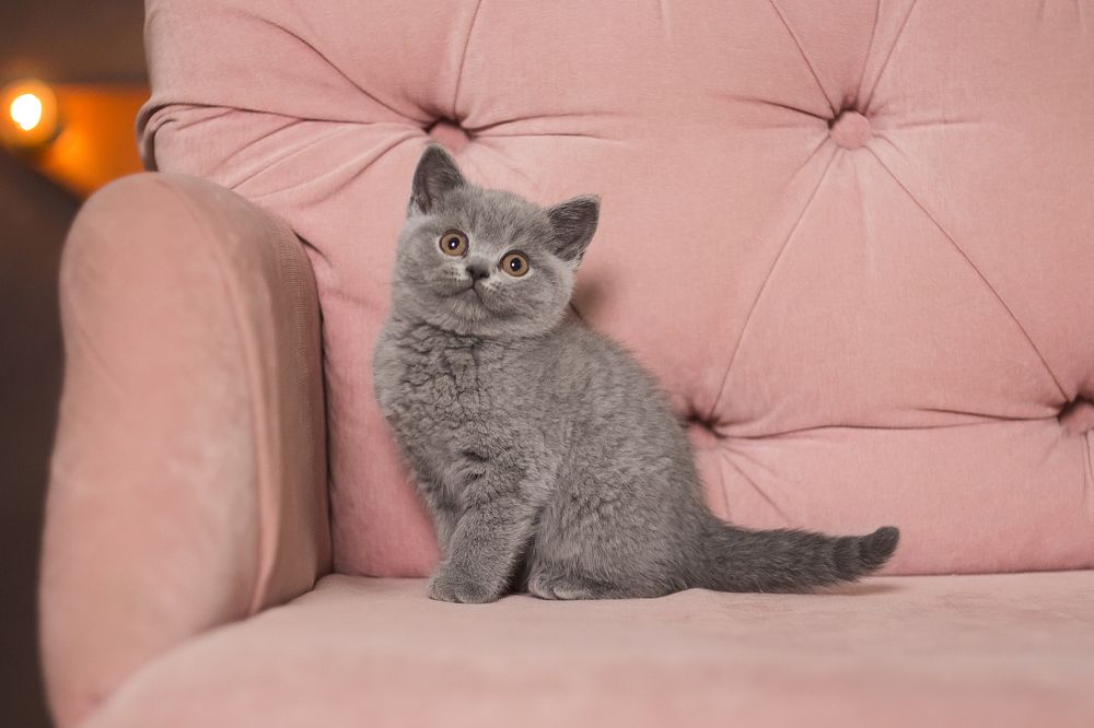 Photograph by Виктория Мамаева