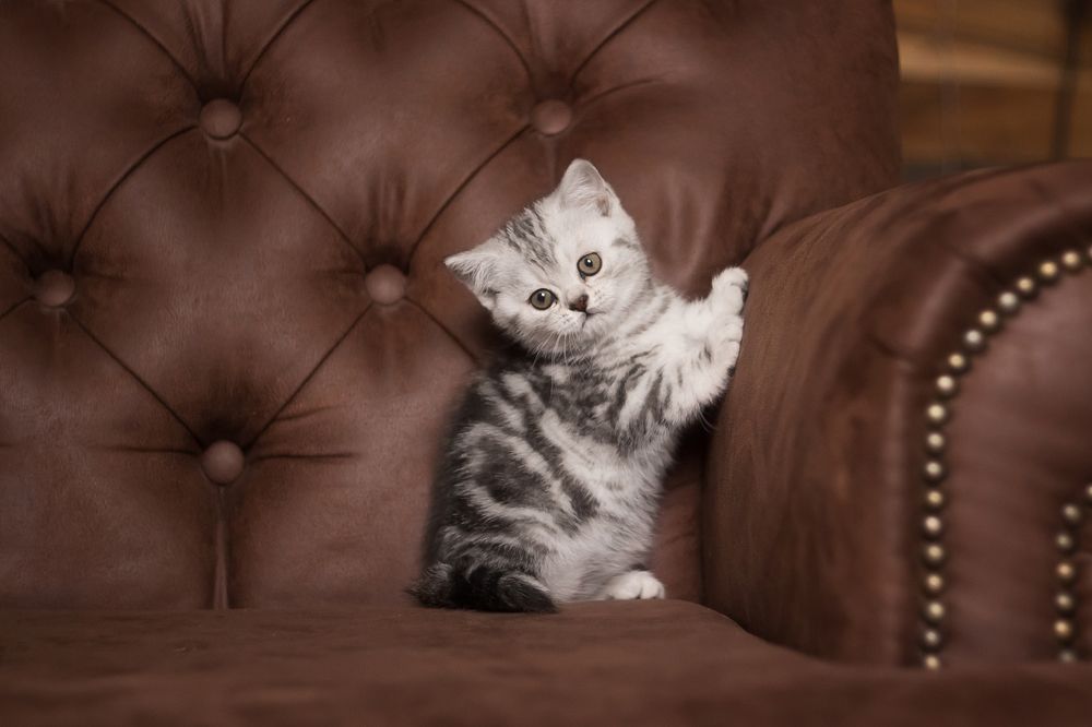 Photograph by Виктория Мамаева