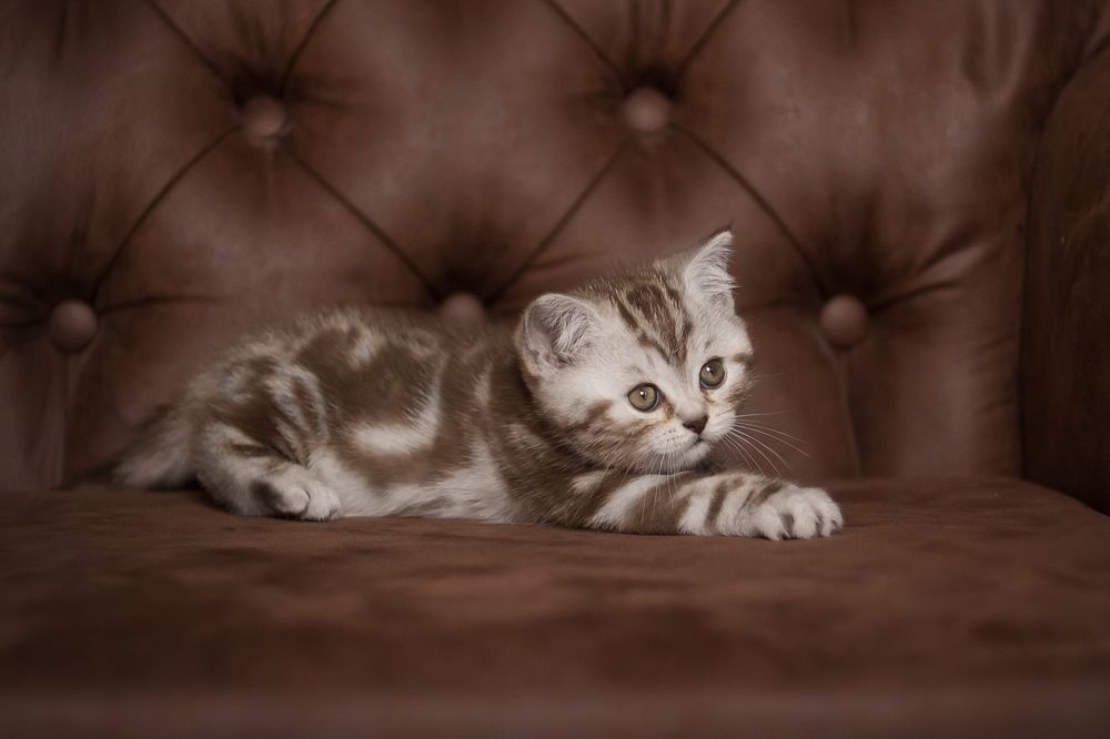 Photograph by Виктория Мамаева