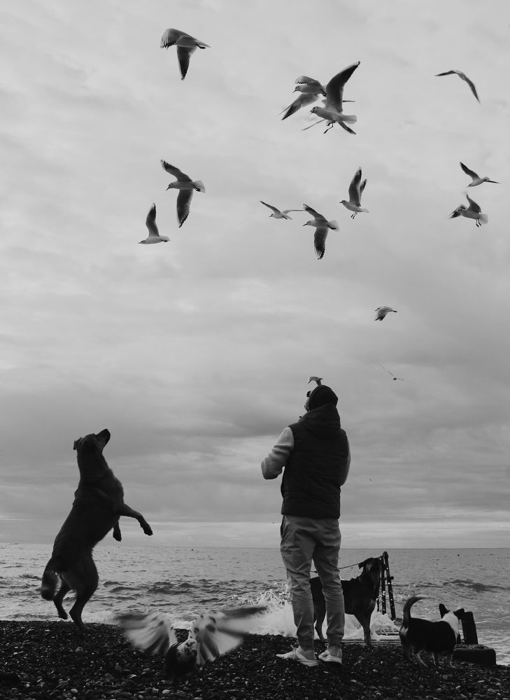 Photograph by Ирина Зинченко