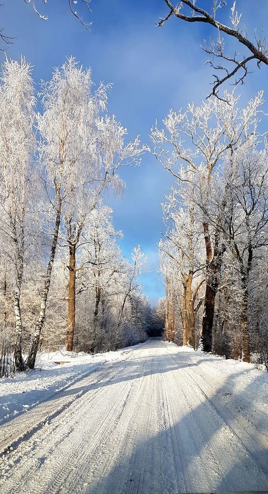Фотография автора Ашхеник Азарян