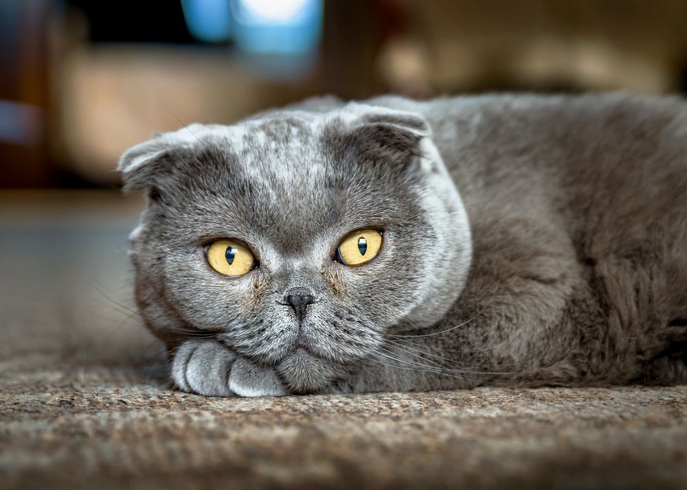 Photograph by Valery Pegushev