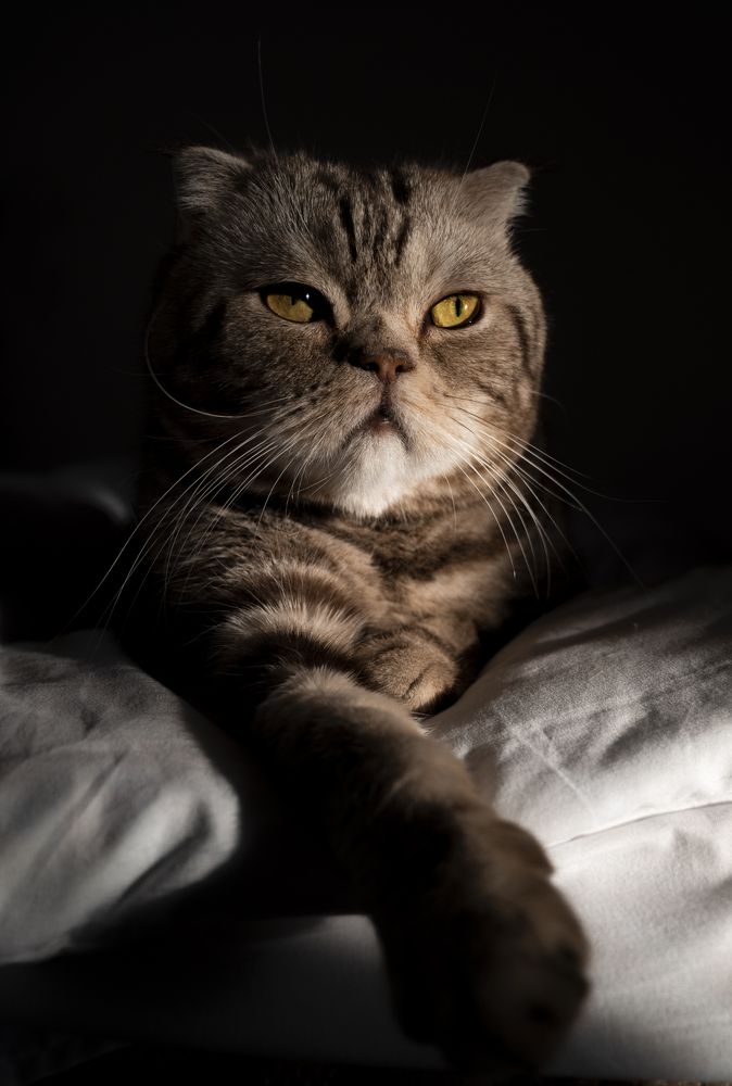 Photograph by Марьям Цимбельман