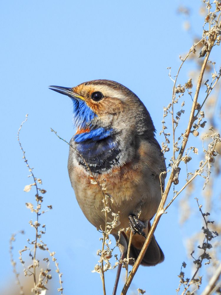 Photograph by Игорь Степанов