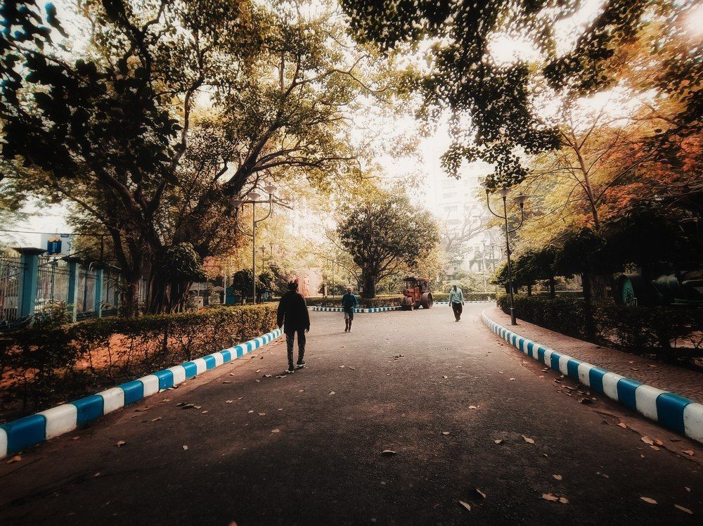 Photograph by Trishik Bose